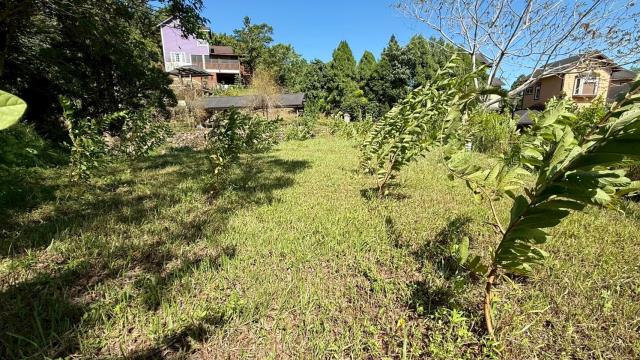 新竹橫山農地-4