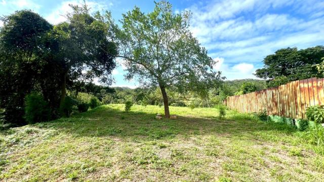 新竹竹東農地-12