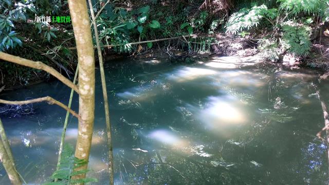 新竹竹東農地_休閒地-15