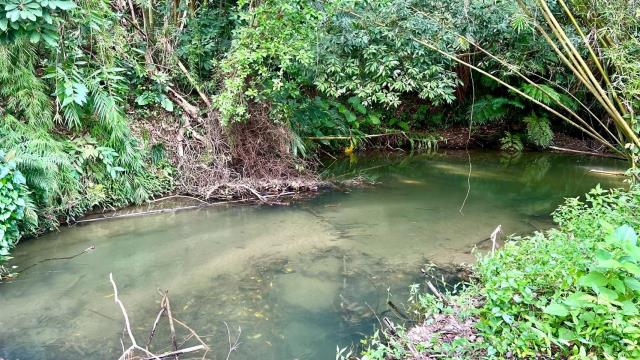 新竹竹東農地-7