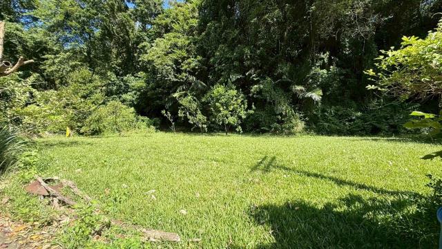 新竹關西農地-11