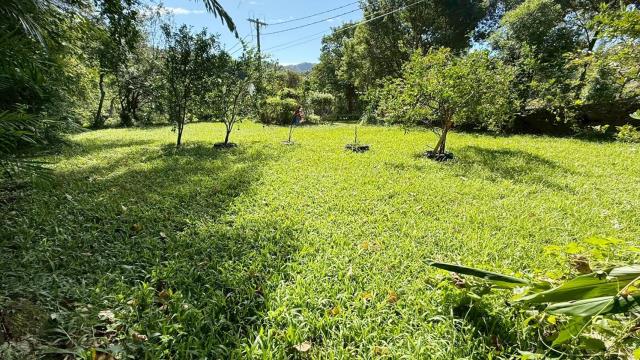 新竹關西農地-5