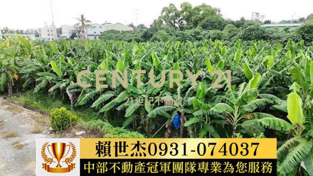 南投草屯農地-13