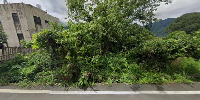 泰安農地_山坡地_原住民保留地法拍-9