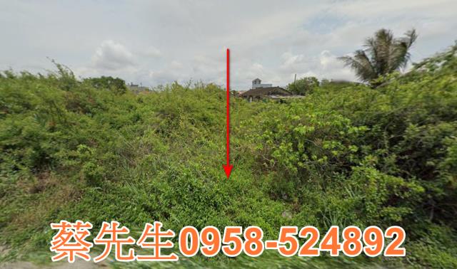 將軍建地法拍-9