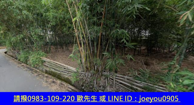 大社農地法拍-10