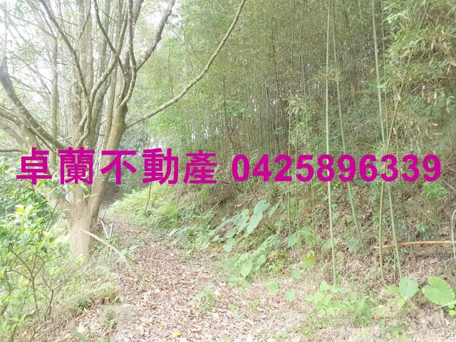 苗栗卓蘭農地-5