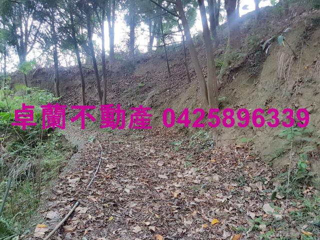 苗栗卓蘭農地-7