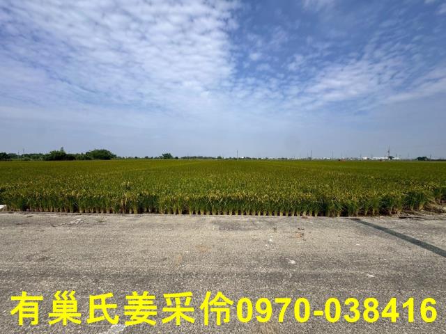 嘉義溪口農地-3