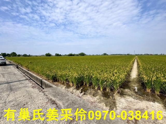 嘉義溪口農地-4