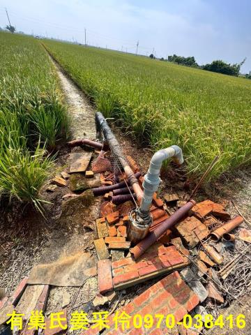 嘉義溪口農地-9