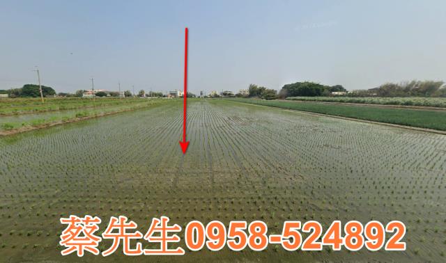 二林法拍農地-1