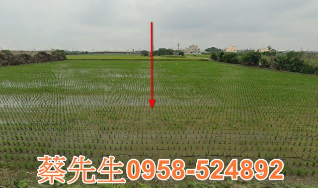 芳苑農地法拍-12