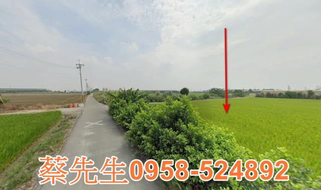 芳苑農地法拍-14