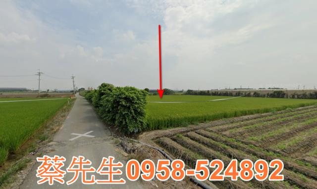 芳苑農地法拍-15