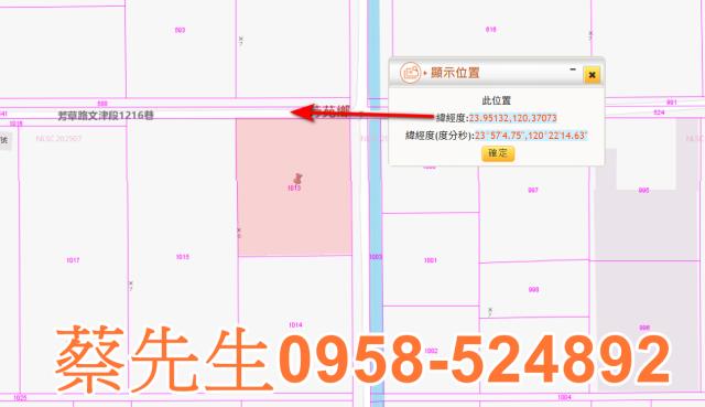 芳苑農地法拍-2