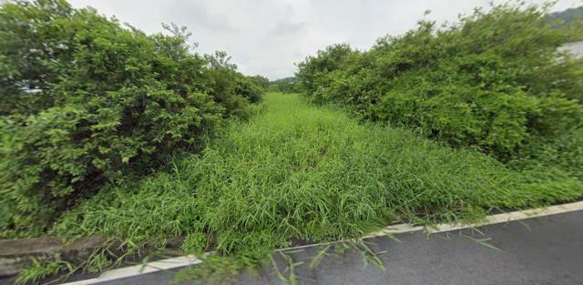 銅鑼法拍農地-9