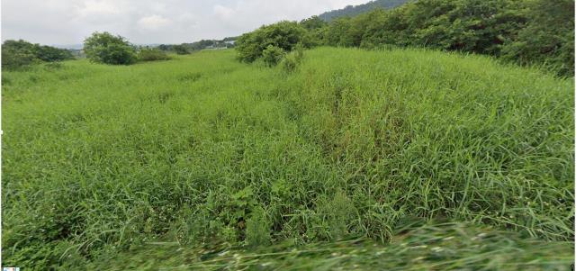 銅鑼農地法拍-7