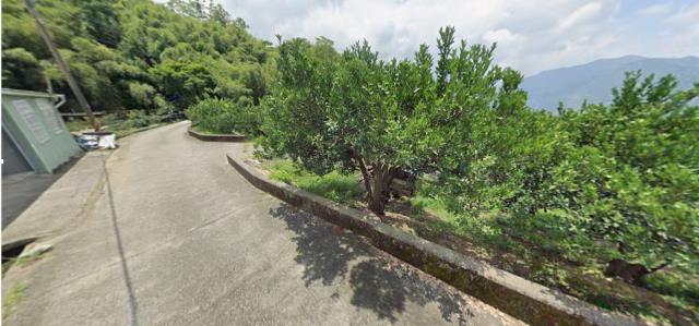 泰安農地_山坡地_原住民保留地法拍-5