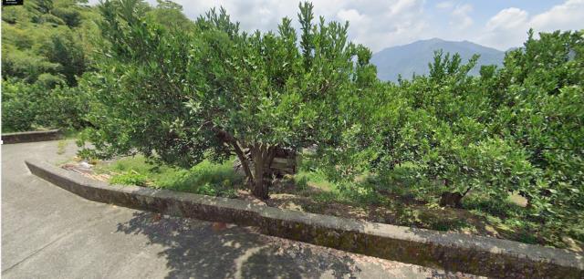 泰安農地_山坡地_原住民保留地法拍-9