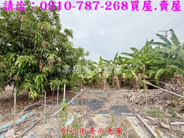 台南農地-8