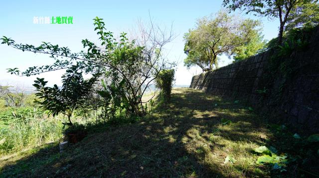 新竹農地_林地-11