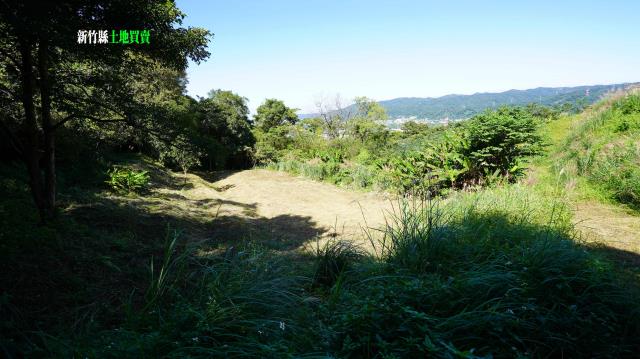 新竹農地_林地-12
