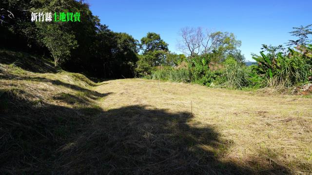新竹農地_林地-13