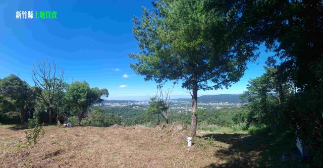 新竹農地_林地-3