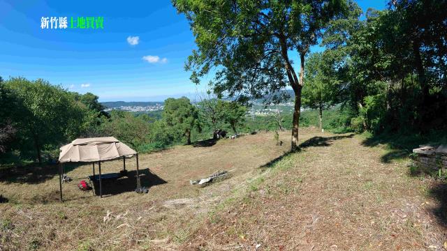 新竹農地_林地-5