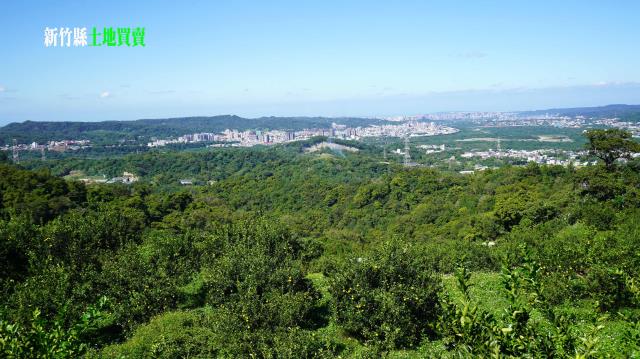 新竹農地_林地-6