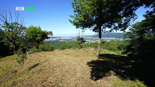 新竹農地_林地-8