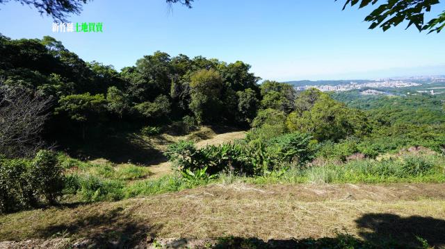 新竹農地_林地-9