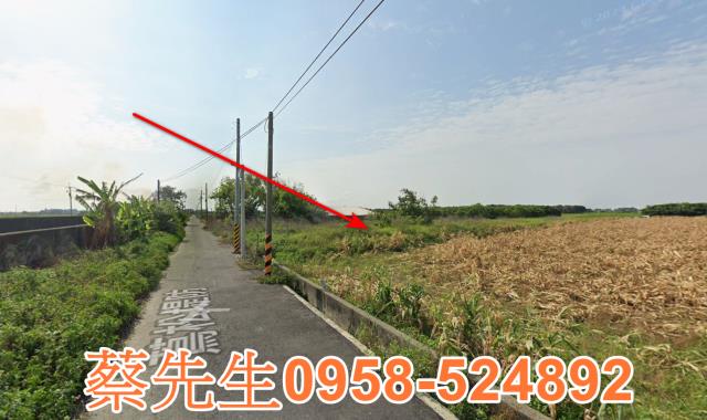 雲林水林法拍農地-13