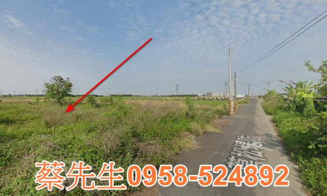 雲林水林法拍農地-6