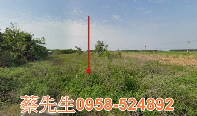 雲林水林法拍農地-9