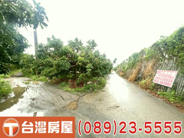 台東台東市農地-3