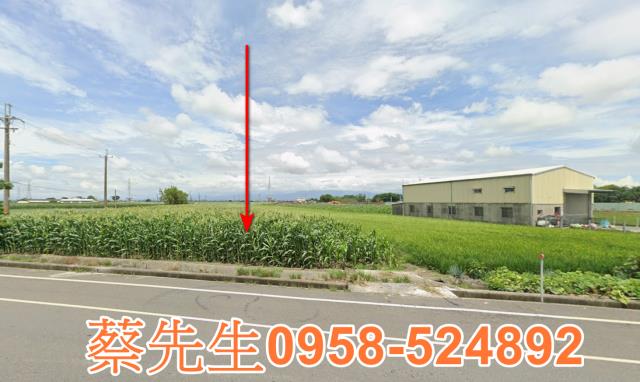 雲林元長法拍農地-9