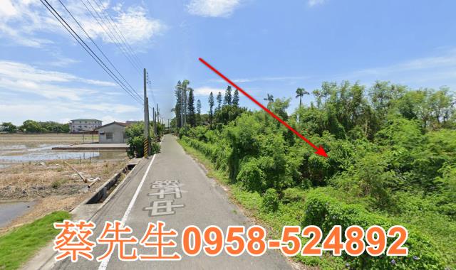 雲林元長法拍農地-4