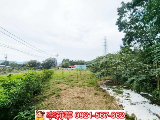 台南楠西農地-8