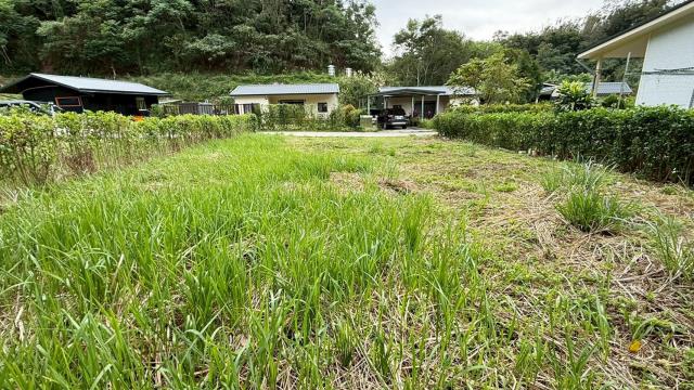 寶山農地_林地-5