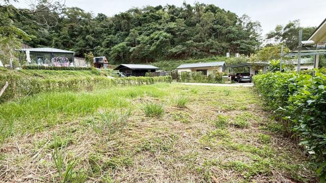 寶山農地_林地-6