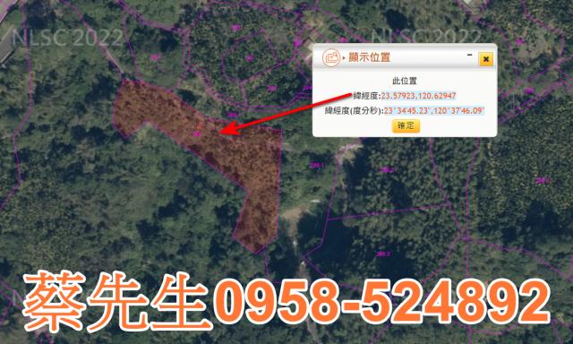 嘉義農地法拍-11