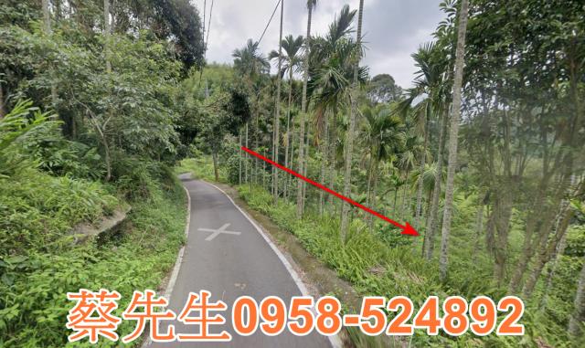 嘉義農地法拍-14