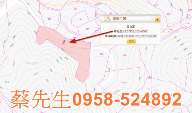 嘉義農地法拍-2