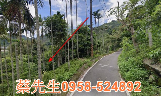 嘉義農地法拍-4