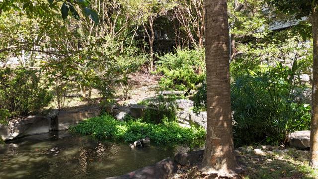 台中農地_休閒地-5