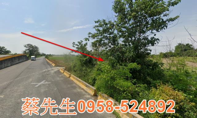 嘉義法拍農地-14