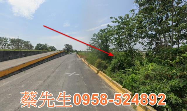 嘉義法拍農地-15