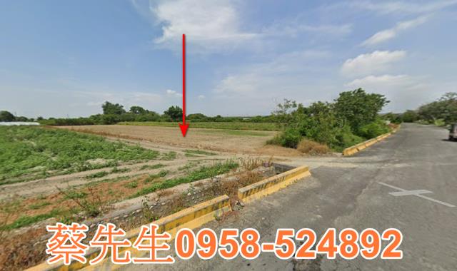 嘉義法拍農地-4